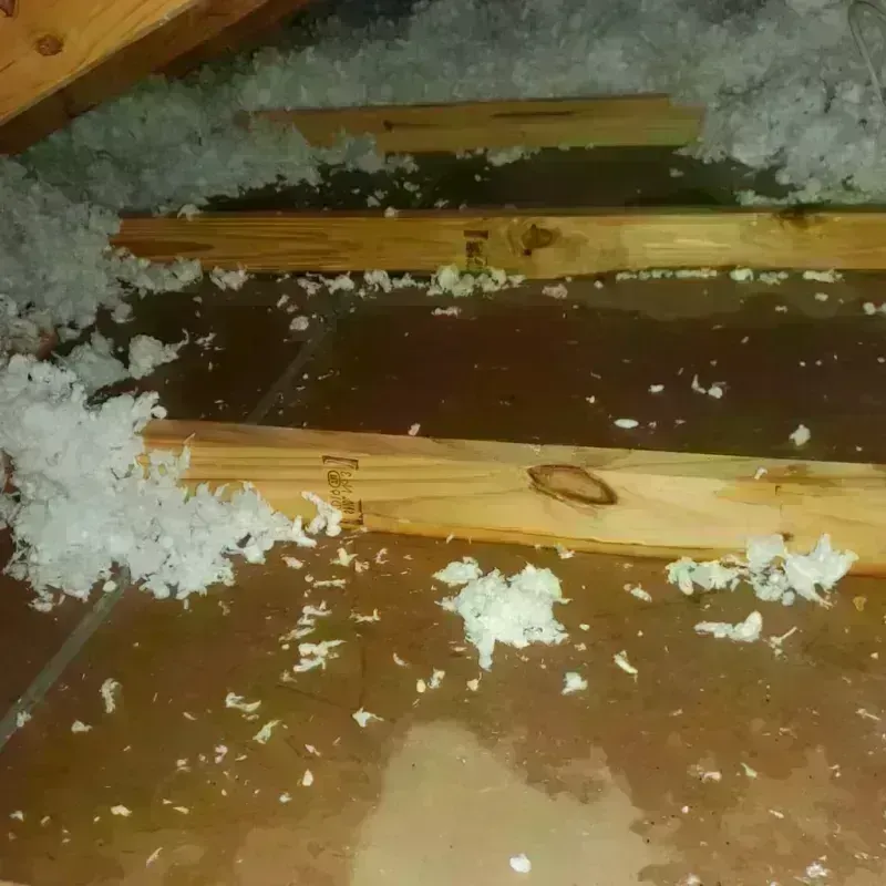 Attic Water Damage in Panola County, TX